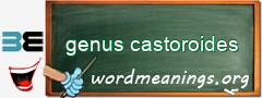 WordMeaning blackboard for genus castoroides